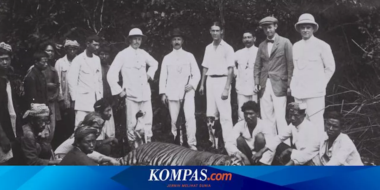 Mengapa Harimau Bisa Jadi Pemakan Manusia?