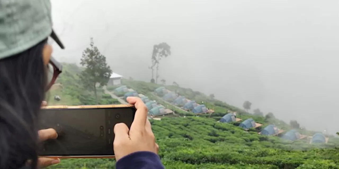 Pesona Kebun Teh Jamus, Surga Ketenangan di Jawa Timur