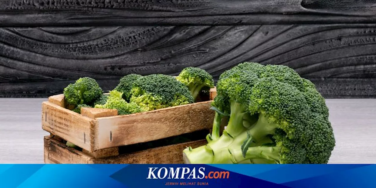 Tips Menyimpan Brokoli Hingga Seminggu