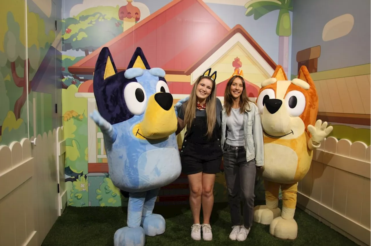 Bluey to Join Disneyland Family