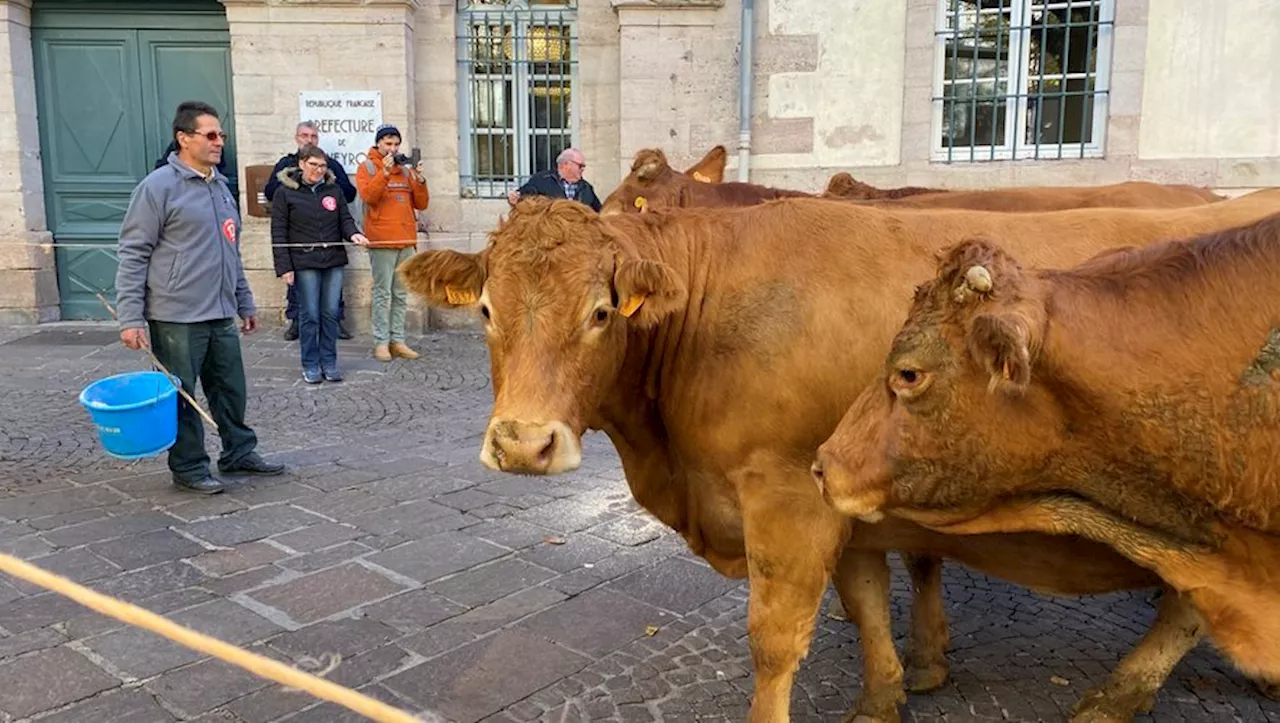 Aveyron: Défis économiques et perspectives d'avenir