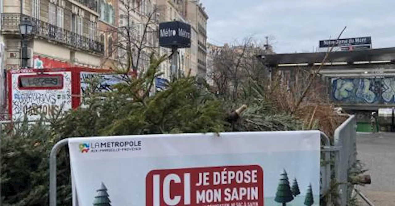 Récupérez votre Sapin de Noël: La Métropole Aix-Marseille Provence Lance le Recyclage