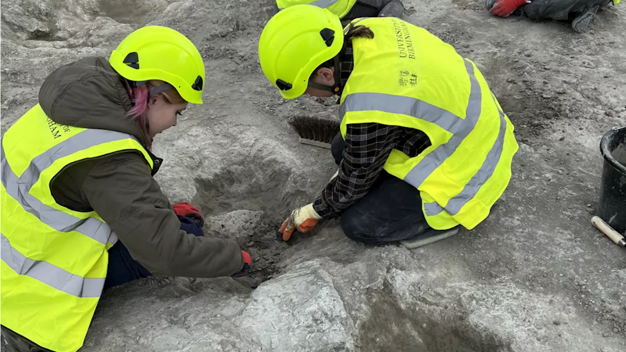 Découverte du plus grand site d'empreintes de dinosaures du Royaume-Uni