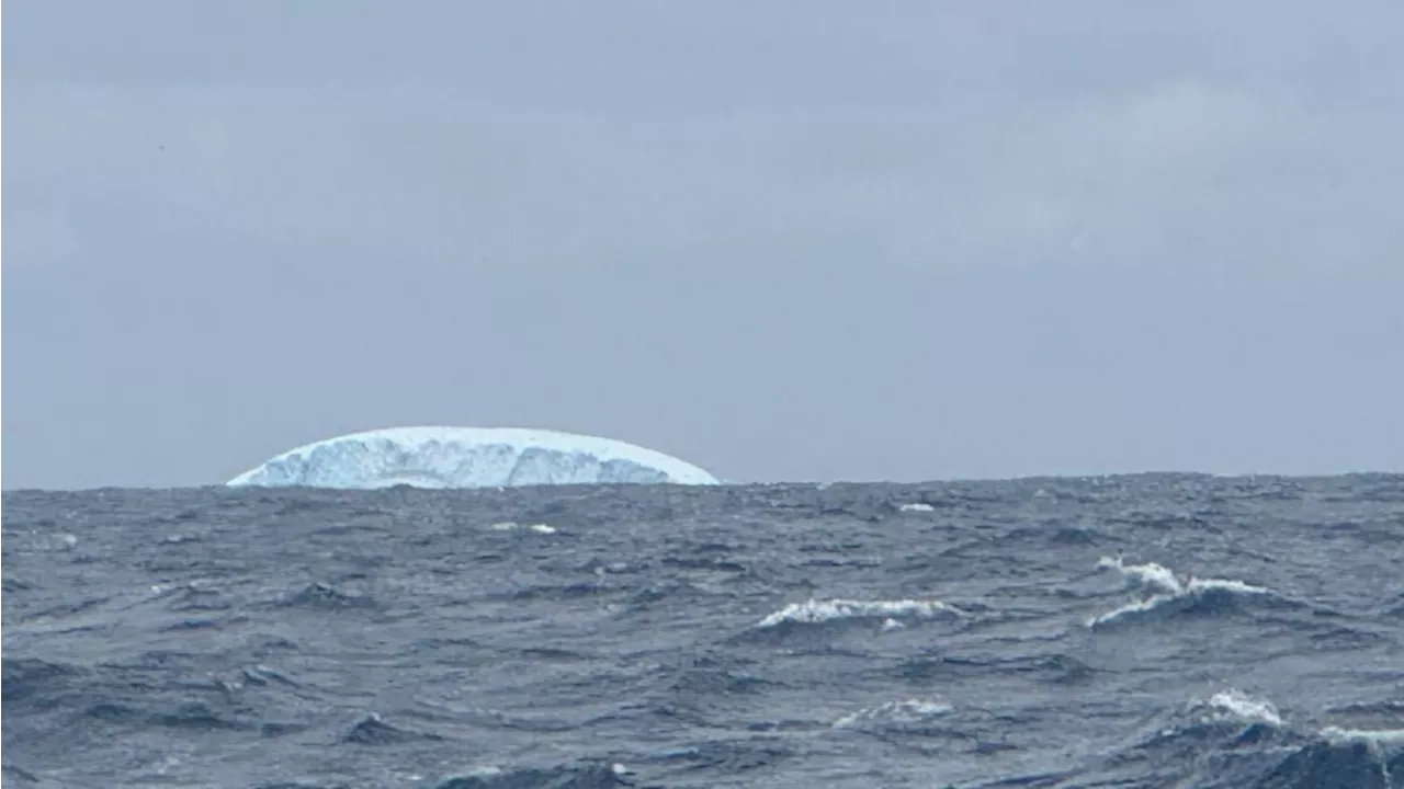 Voile : quand les marins du Vendée Globe aperçoivent des icebergs, une première en seize ans