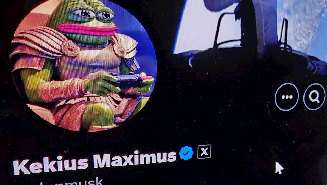 Elon Musk cambia nome in 'Kekius Maximus' su X