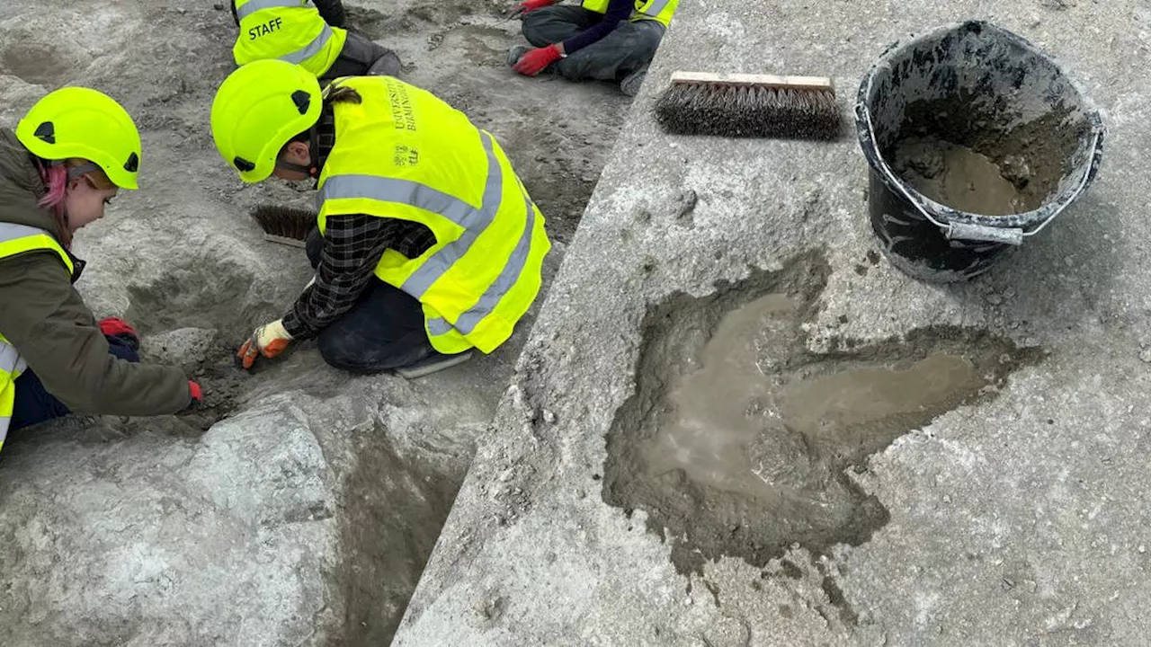 Dinosaur Highway Unearthed in Oxfordshire Quarry