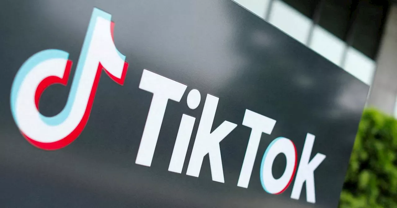 Influenceur TikTok appelle à des violences contre les opposants au régime algérien