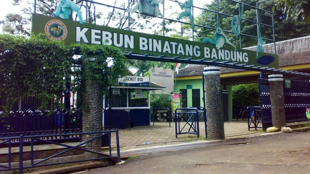 Juru Parkir Di Bandung Terancam Pungli Rp150 Ribu