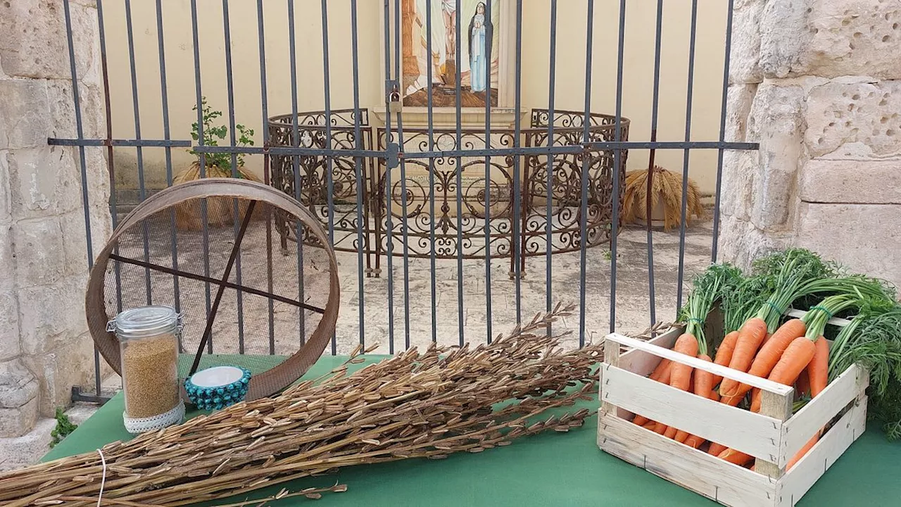 Le Eccellenze di Ragusa: Carota Novella e Sesamo di Ispica