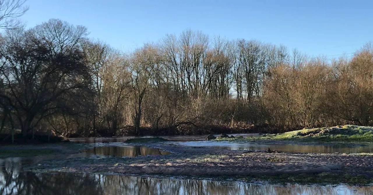 Bridgewater Canal Breach Floods Fields Near Little Bollington