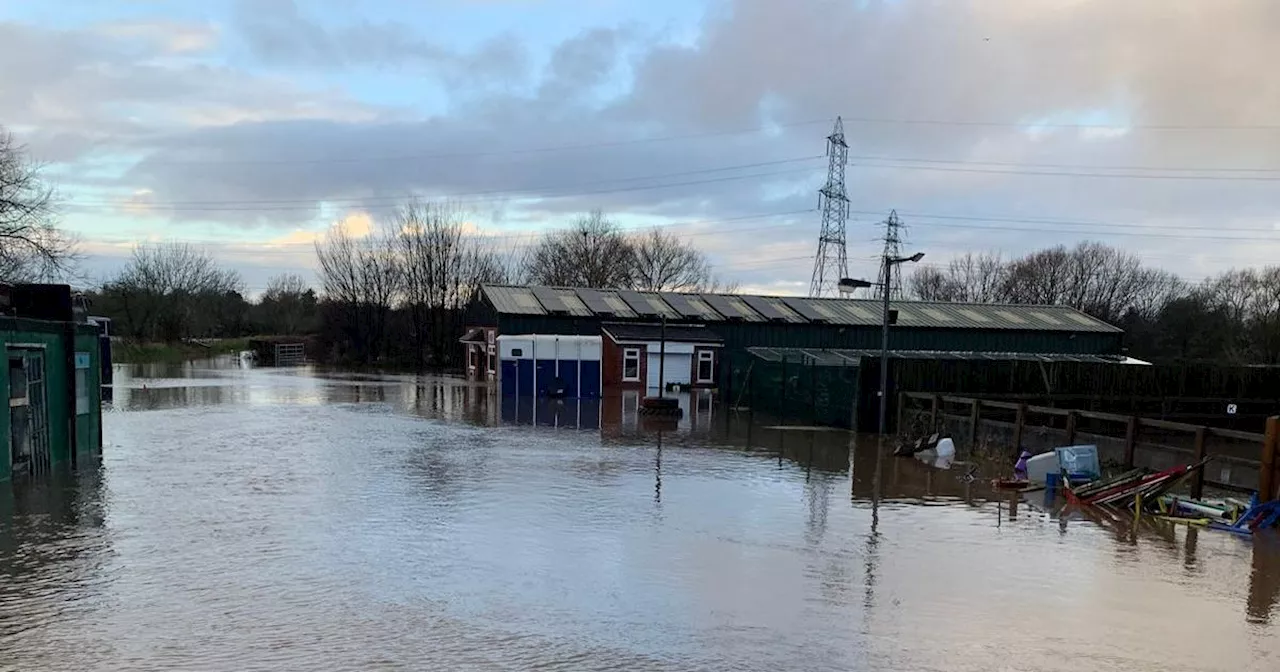 Four Dogs Die in Trafford Floods