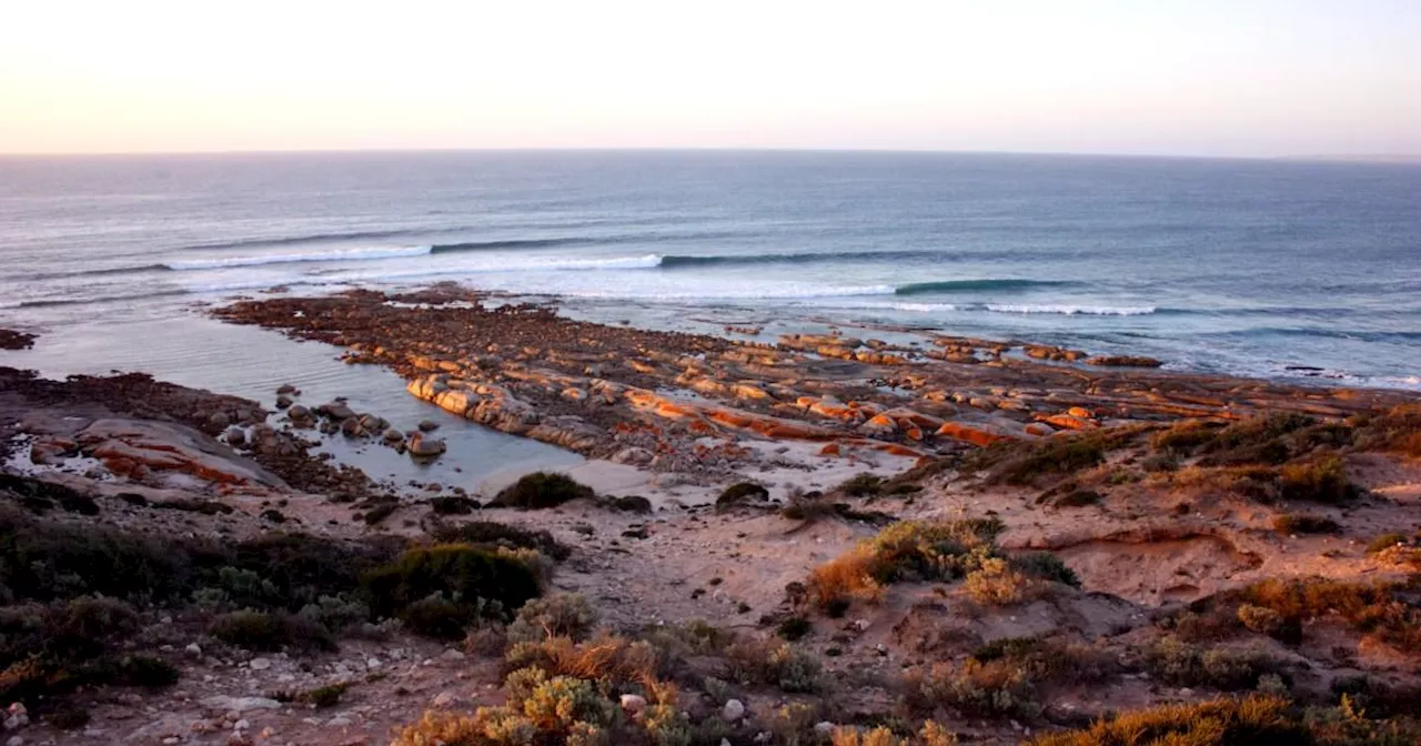 Fears over shark attack after surfer disappears in water