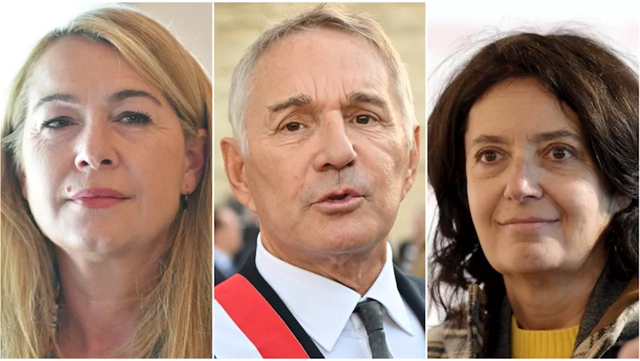 Les temps sont durs en politique : en 2024, les députés montpelliérains ont pris la vague