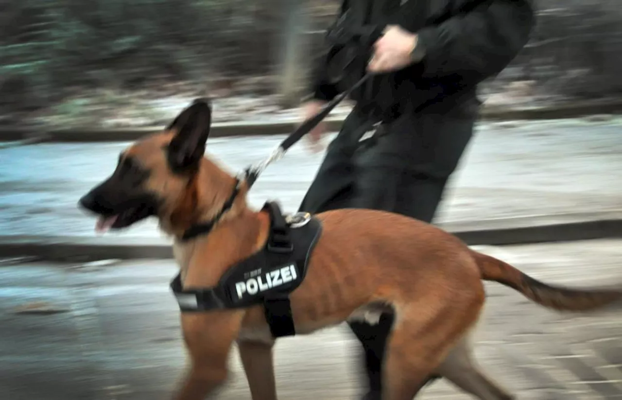 Vermisster nach Unfall in Ammelhofen: Polizei hat Kontakt zum Mann