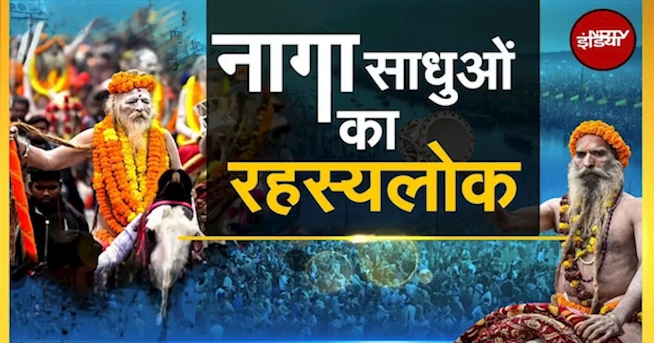 Maha Kumbh 2025: रहस्यमयी Sadhu कौन हैं, और लाखों लोग इन्हें देखने क्यों उमड़ती हैं?