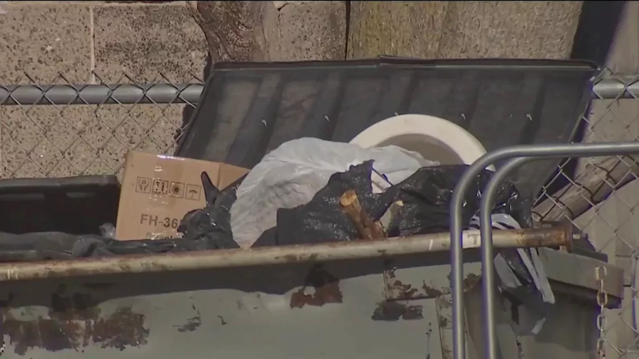 Boston to Increase Fines for Improper Trash Storage to Combat Rat Infestations