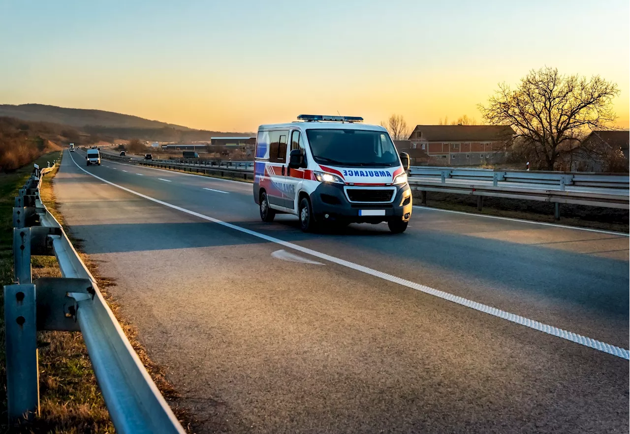 Could Navigating City Streets Protect Against Alzheimer's?