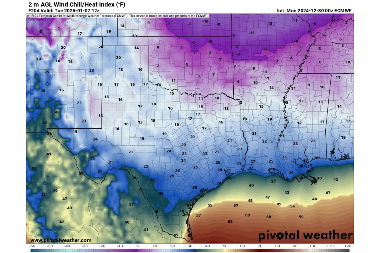 Texas Braces for Freezing Temperatures as Polar Vortex Hits