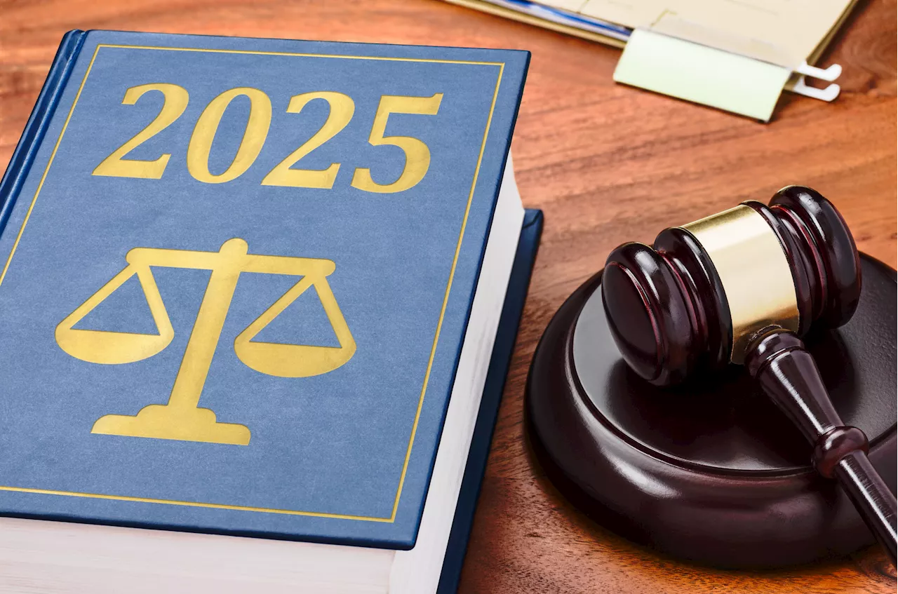 Unusual New Laws Taking Effect in 2025