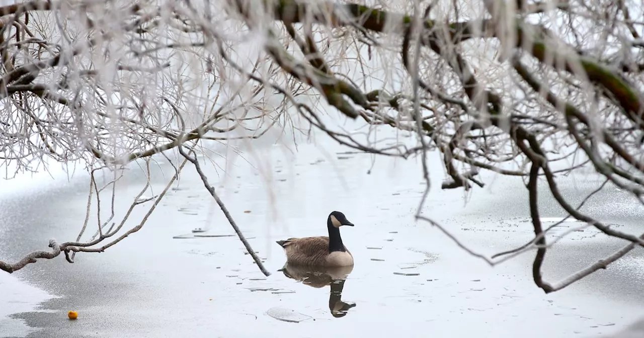 Cold Health Alert Issued for East Midlands