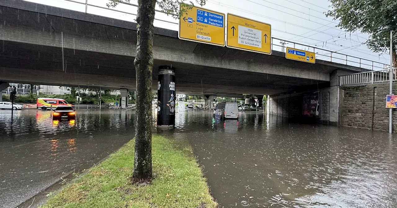 Bielefelds Wetterextreme: 2024 war zu nass und warm wie nie