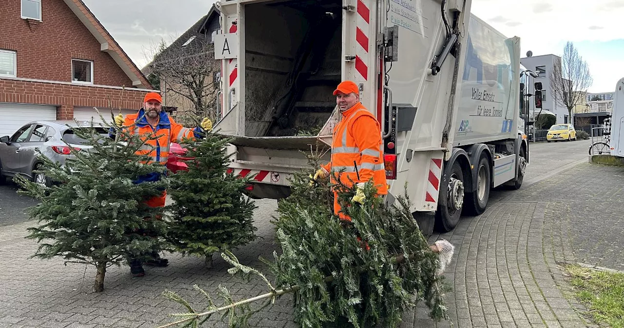 Hier können Sie Weihnachtsbäume im Kreis Paderborn entsorgen