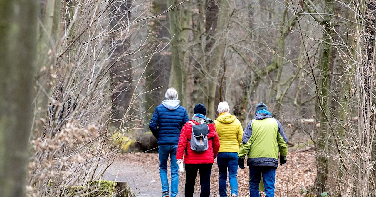 Hunderte gehen mit: Wie Bielefelder Spaziertreffs die Einsamkeit bekämpfen