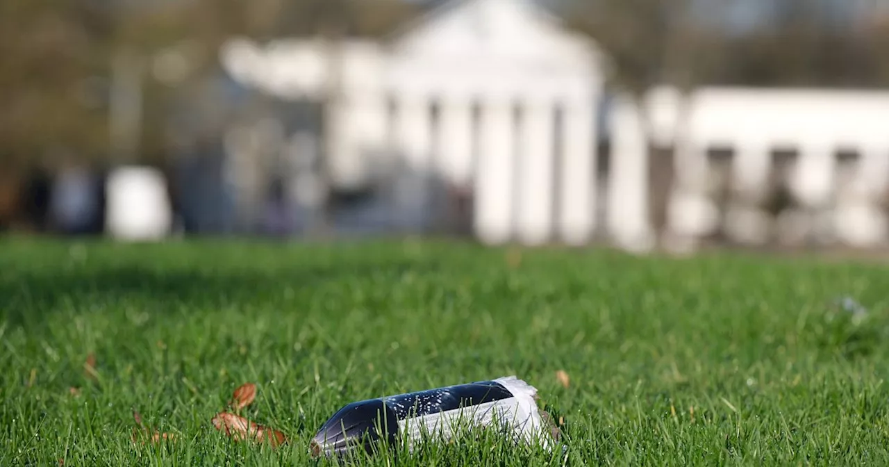 Kurpark Bad Oeynhausen nach Silvesterfeier in Schand