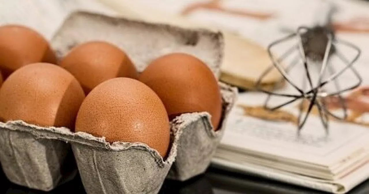 Landfrauen Enger-Herford bieten Rezepte für die kalten Wintertage 