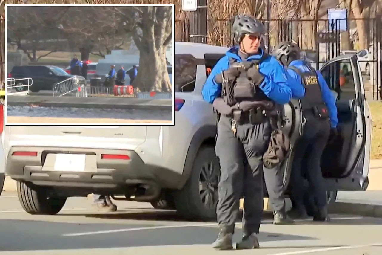 Man Arrested for Driving on Sidewalk near US Capitol