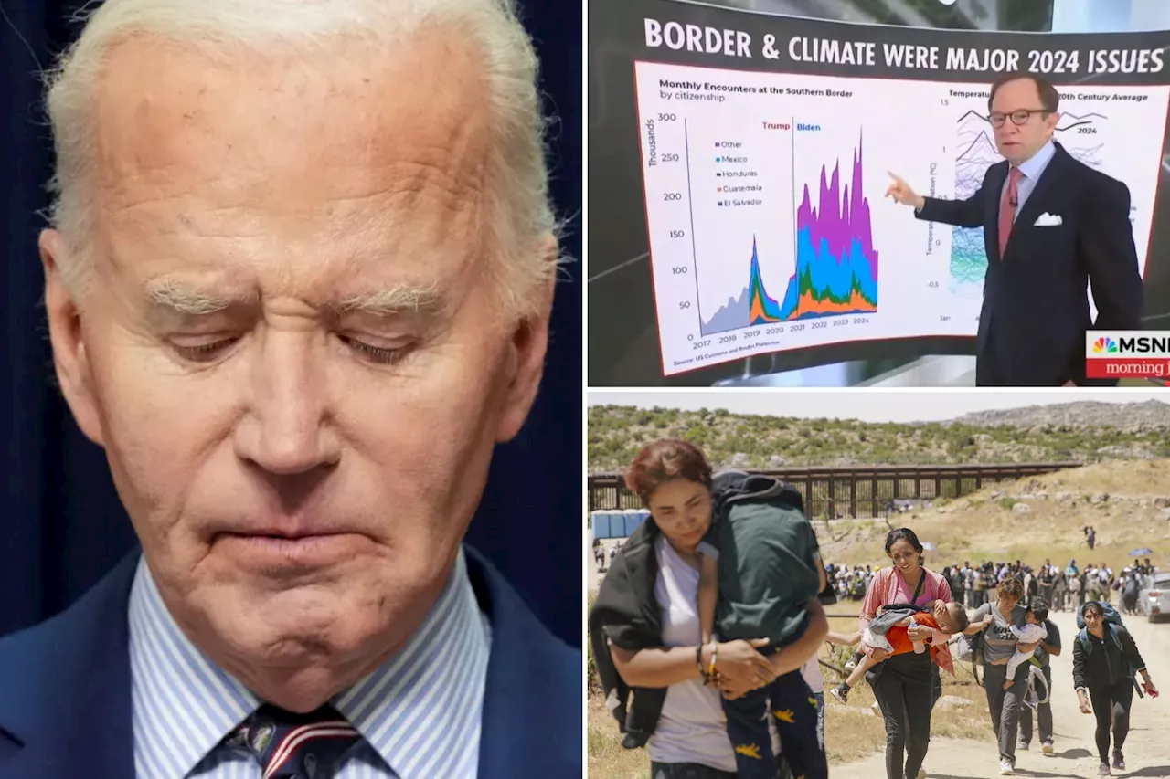 'Trump is not wrong': MSNBC analyst admits immigration policy 'not Biden's finest moment'