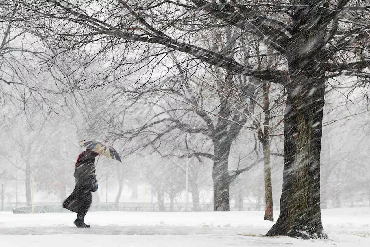 Polar Vortex and Winter Storm to Bring Cold Temperatures and Snow to US