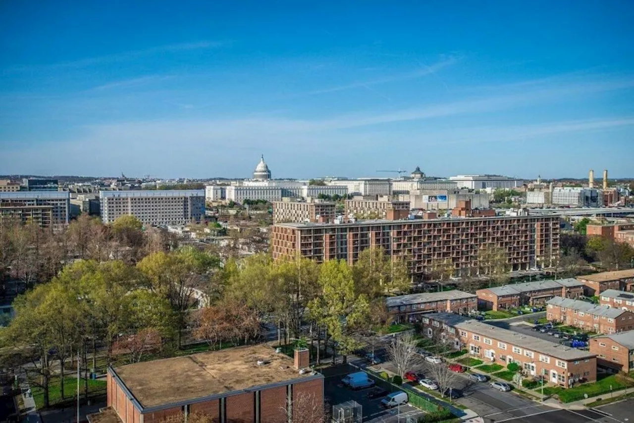 Leo at Waterfront Station: Studio Apartments with Pet-Friendly Amenities