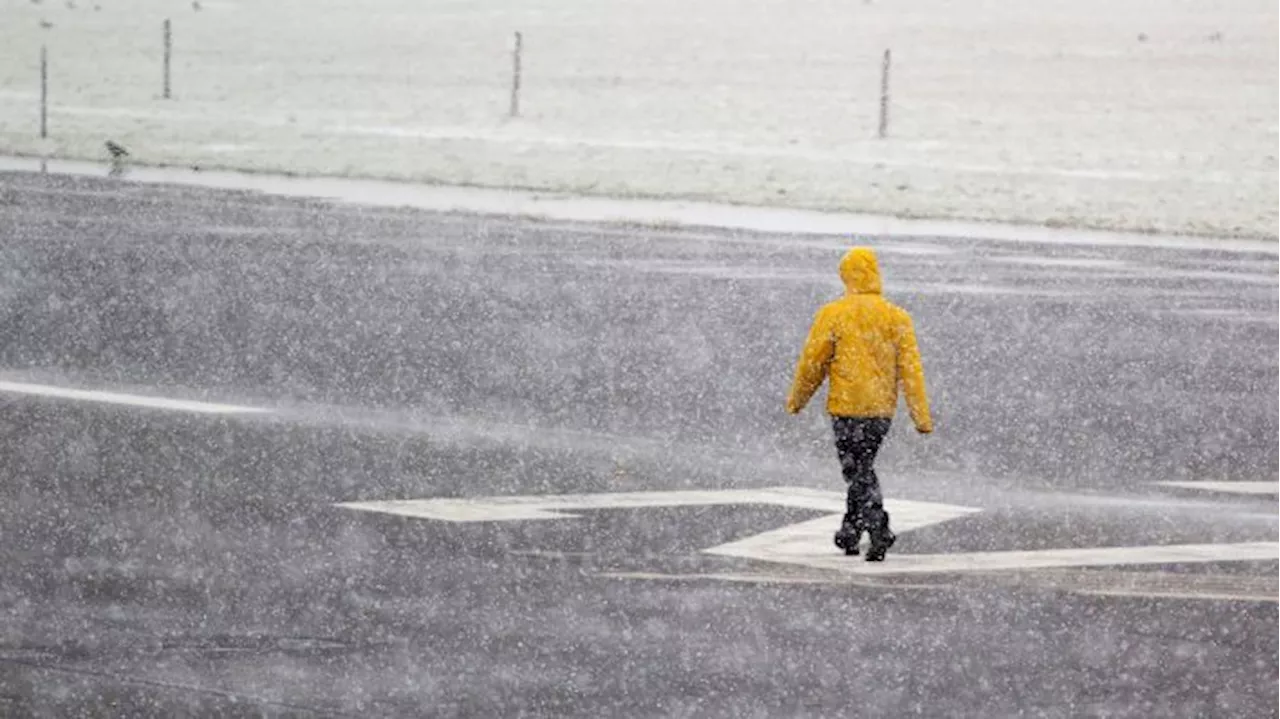 Schnee in Berlin und Brandenburg: Kurze Freude, dann ist schon wieder alles grün