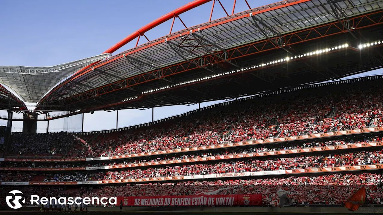 Benfica: Rui do Passo Defende Estádio com 120 Mil Lugares