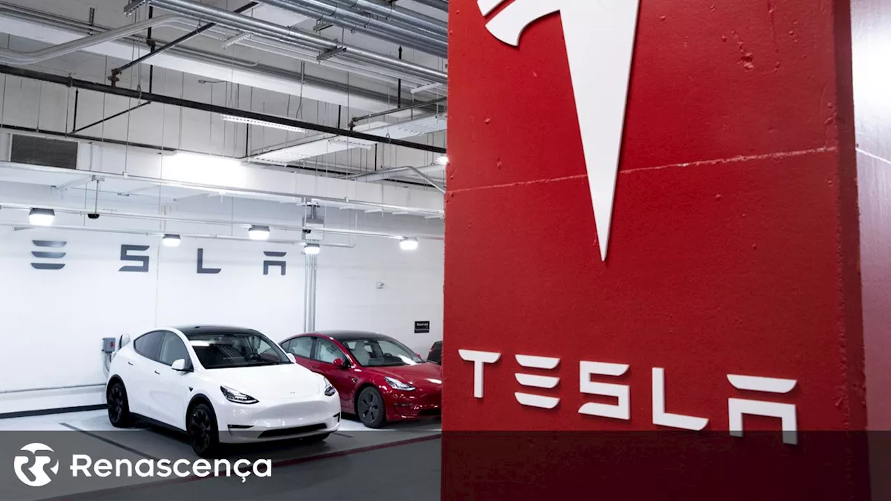 Tesla Registra Primeiro Declínio Anual de Vendas em Nove Anos