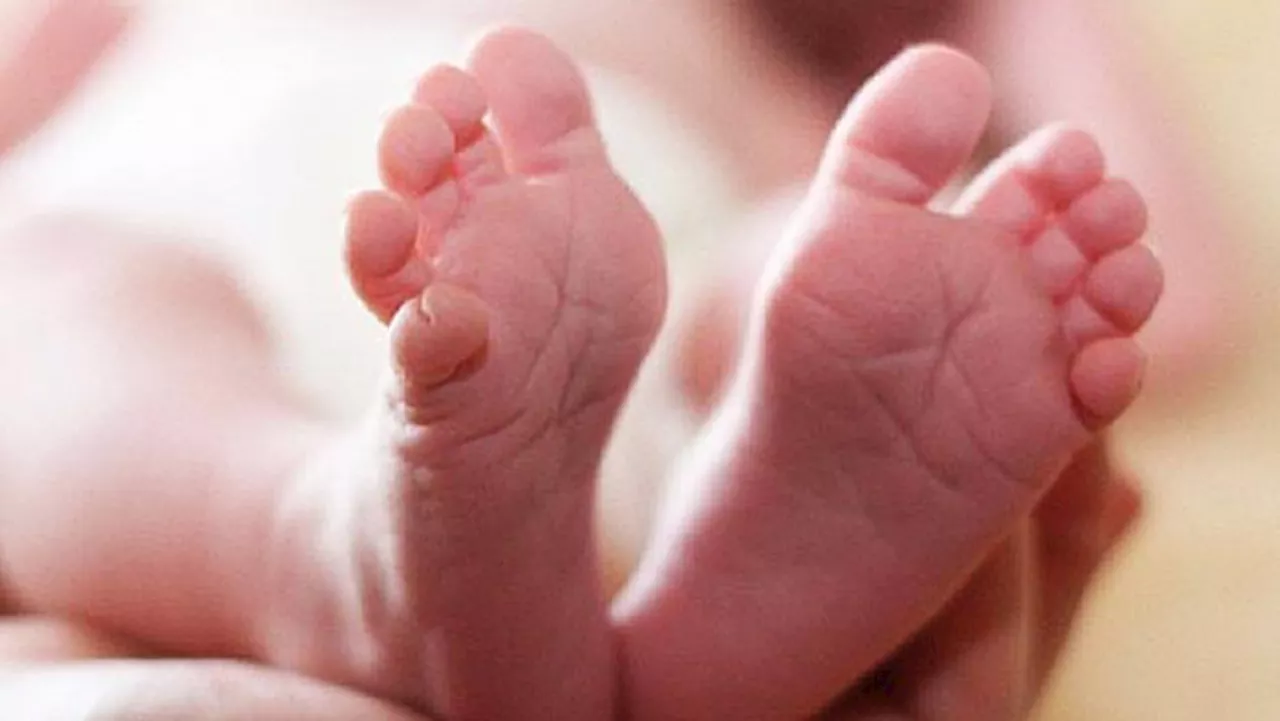 14-year-old gives birth as Limpopo records 191 New Year's Day babies - SABC News - Breaking news, special reports, world, business, sport coverage of all South African current events. Africa's news leader.