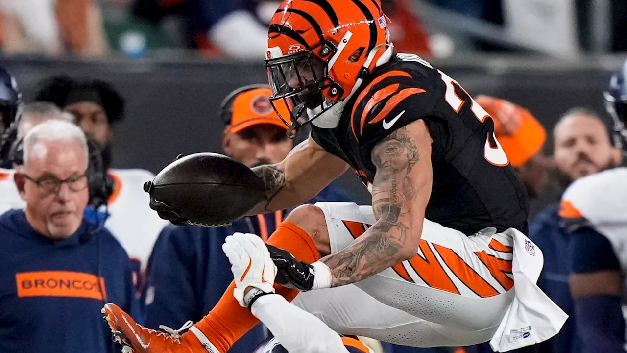 Bengals Injury Report: Game Statuses Released For Steelers Regular-Season Finale