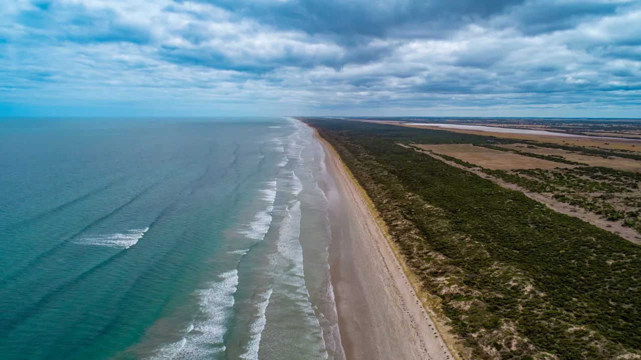 Desperate Search for Surfer After Fatal Shark Attack in South Australia