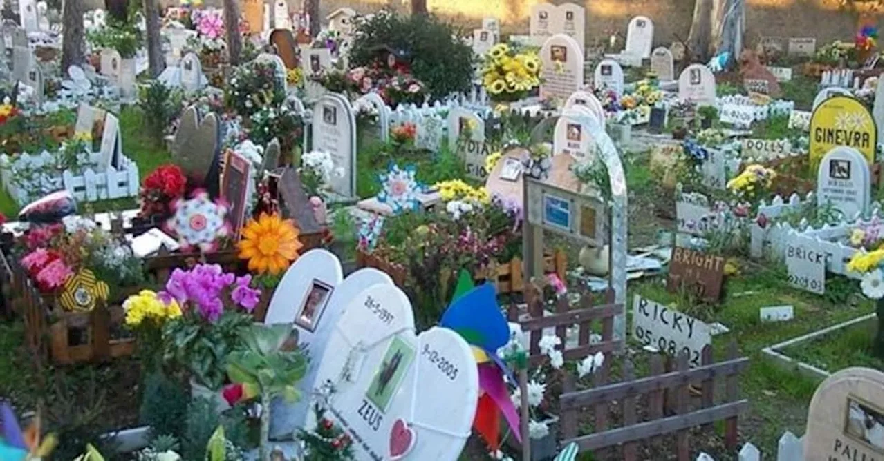 Milano: Via libera alla tumulazione delle ceneri degli animali nei cimiteri