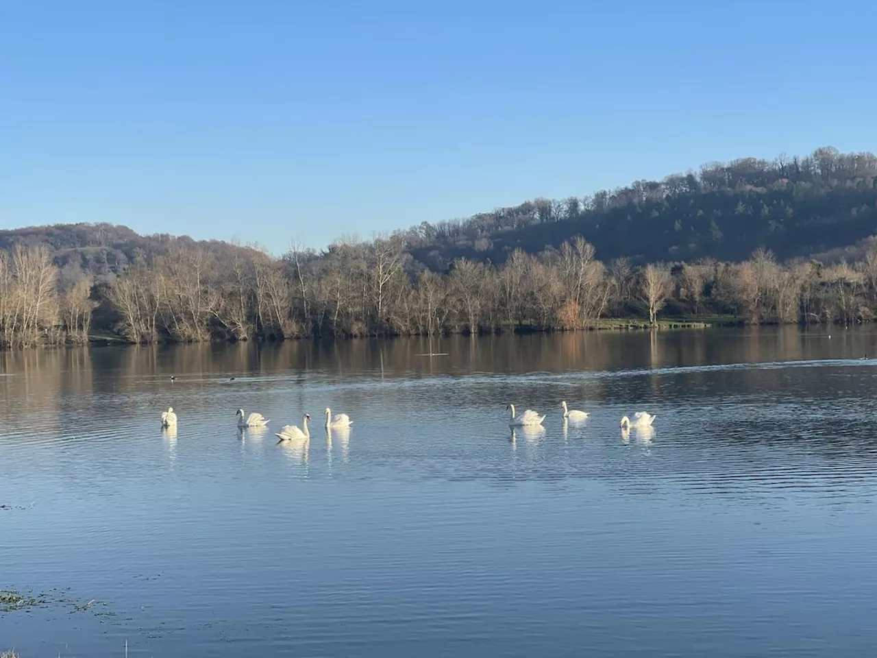 Lahontan : une année qui démarre sous de bons « cygnes »