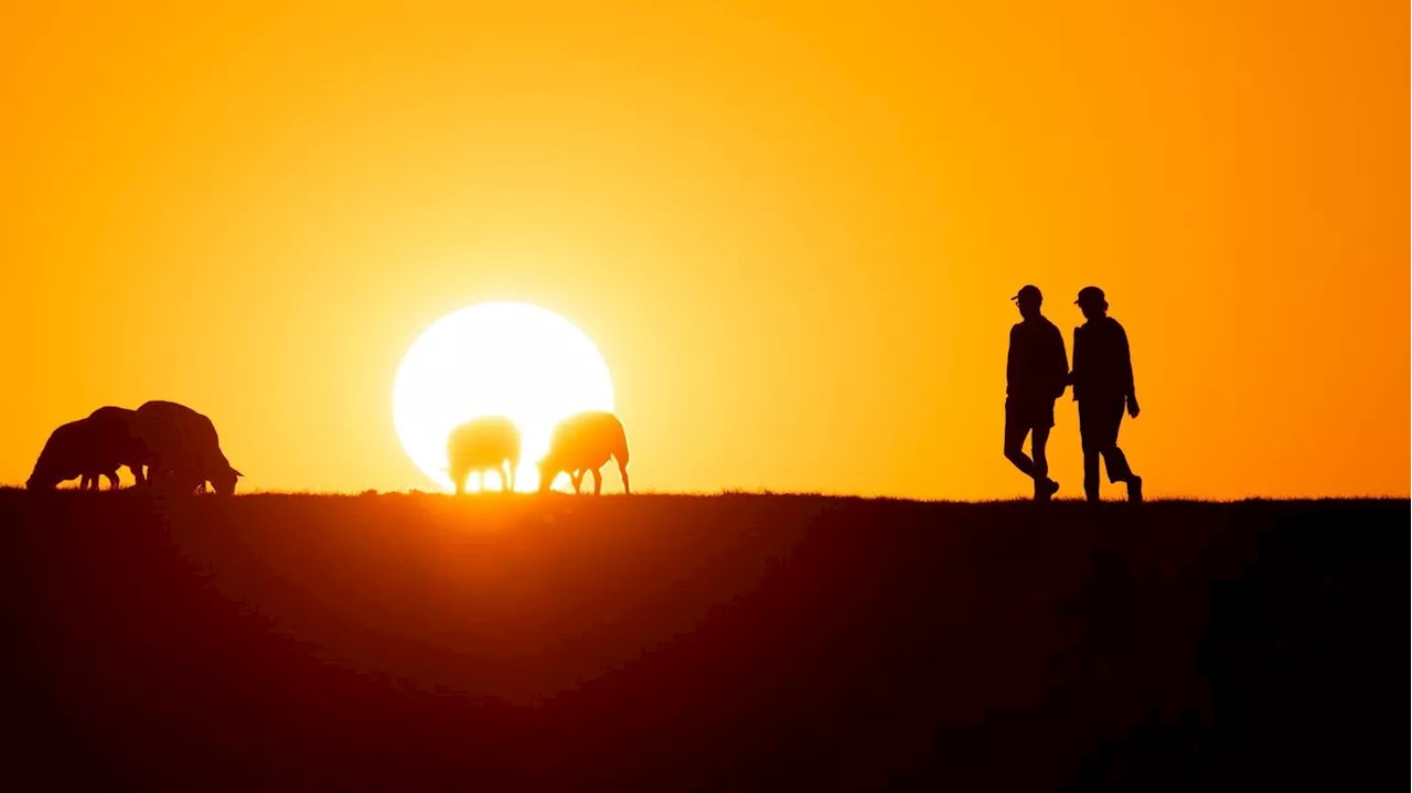 2024 erneut das wärmste Jahr der Erde: „Das ist der Klimakollaps in Echtzeit“