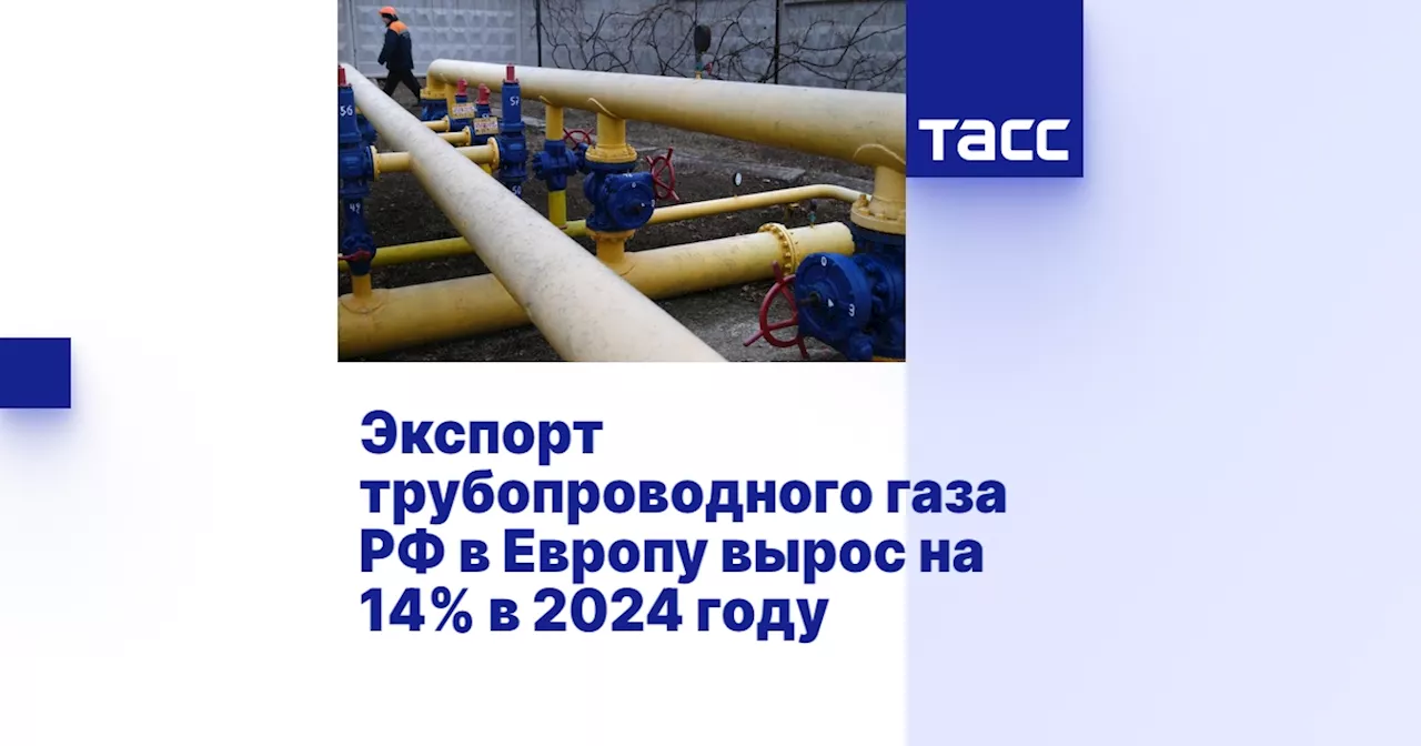 Экспорт газа из России в Европу вырос на 14% в 2024 году