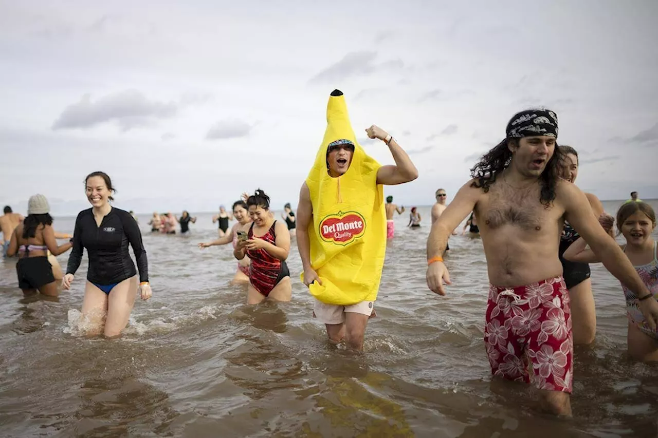 Hundreds brave the cold for New Year's Day Polar Bear Dip