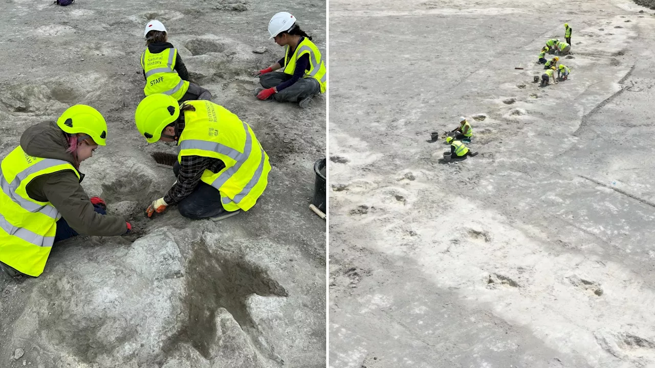 UK's Biggest 'Dinosaur Highway' Unearthed