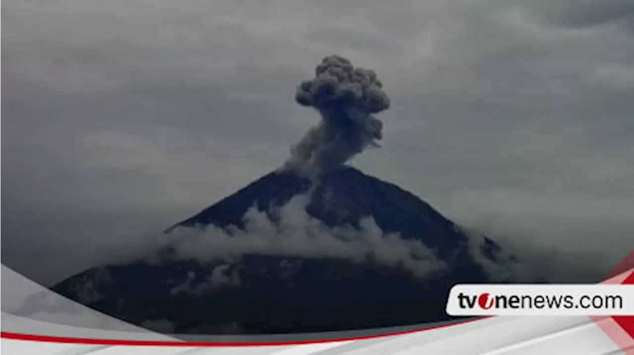 Gunung Semeru Beberapa Kali Erupsi, Kolom Abu Capai 1.200 Meter, Masyarakat Diimbau Waspada