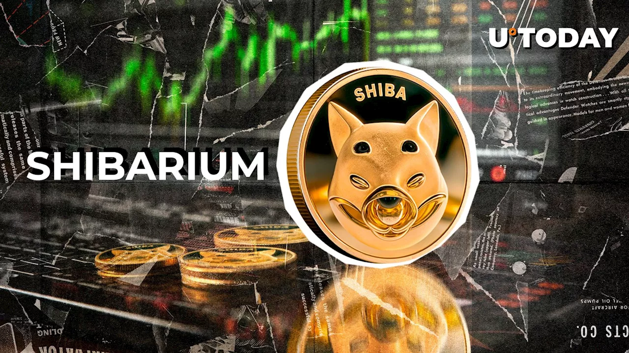 Shibarium Gaining Traction: Transaction Count Reaches Peak Levels