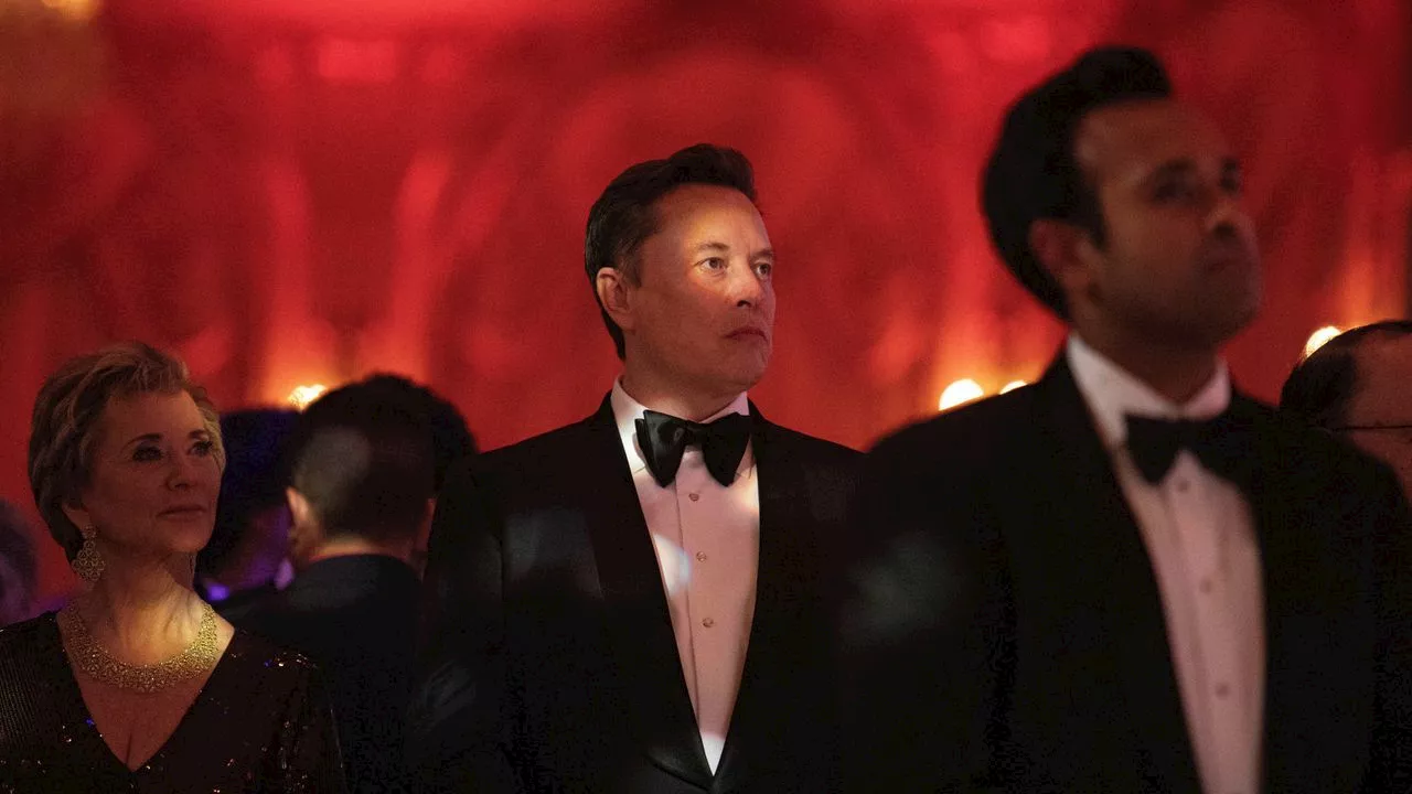 Elon Musk, au plus près de Donald Trump à Mar-a-Lago