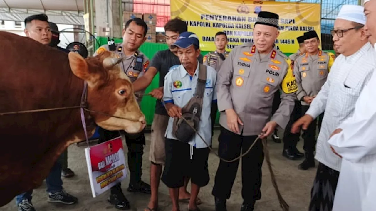 Kapolda Kalsel Serahkan Sapi untuk Haul KH Muhammad Zaini