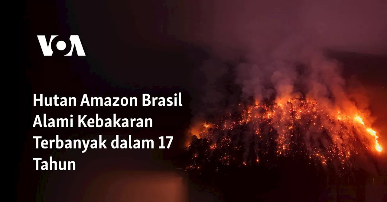 Kebakaran Hutan Amazon Tembus Puncak dalam 17 Tahun